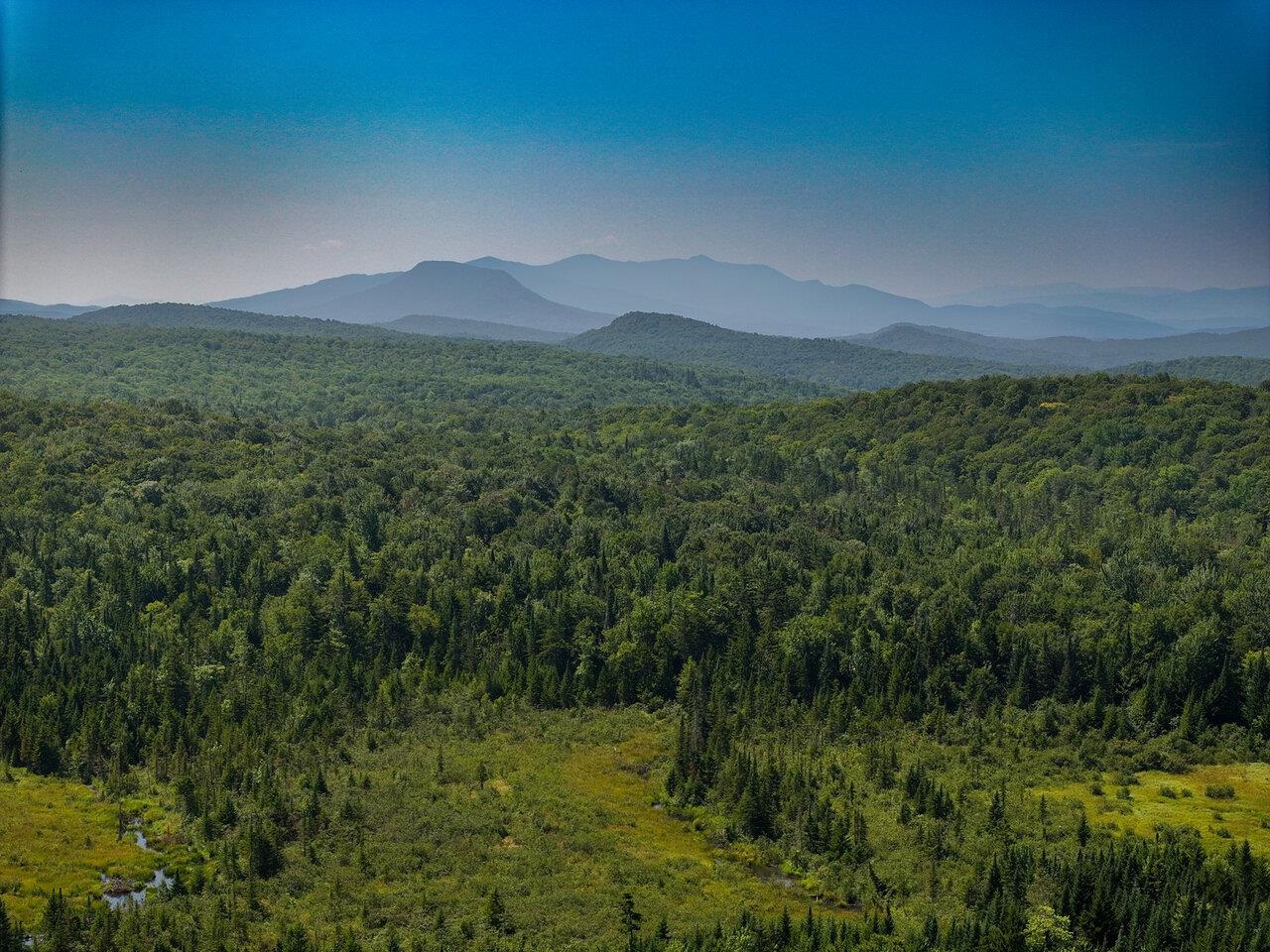 3298 East Hill Road Eden, VT 05653 - Photo 2 of 21