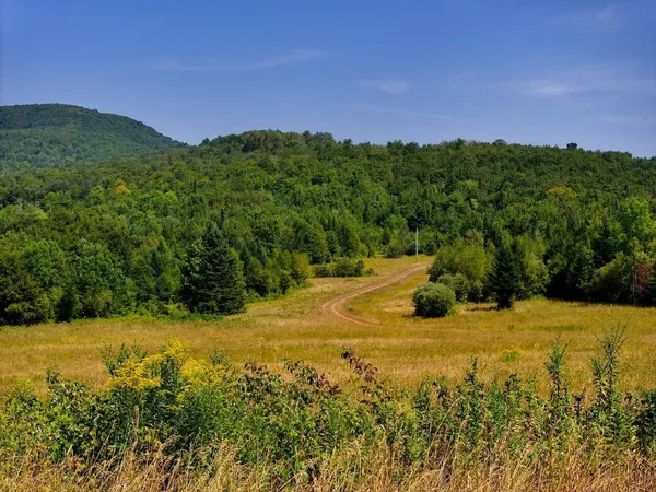 $1,500,000 | 3298 East Hill Road, Eden, VT 05653