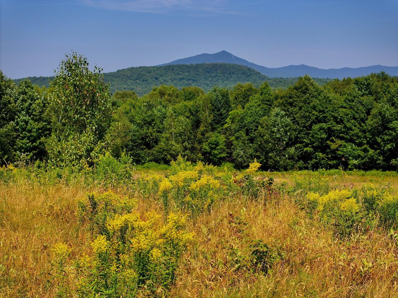 3298 East Hill Road Eden, VT 05653 - Photo 6 of 21