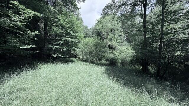 58 Smokey Br Road Danese, WV 25831 - Photo 15 of 22 Gallery Image 15