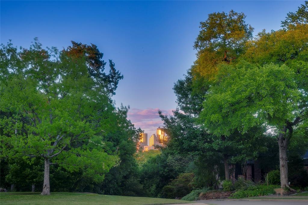 1439 Jr Drive Dallas, TX 75208 - Photo 33 of 39