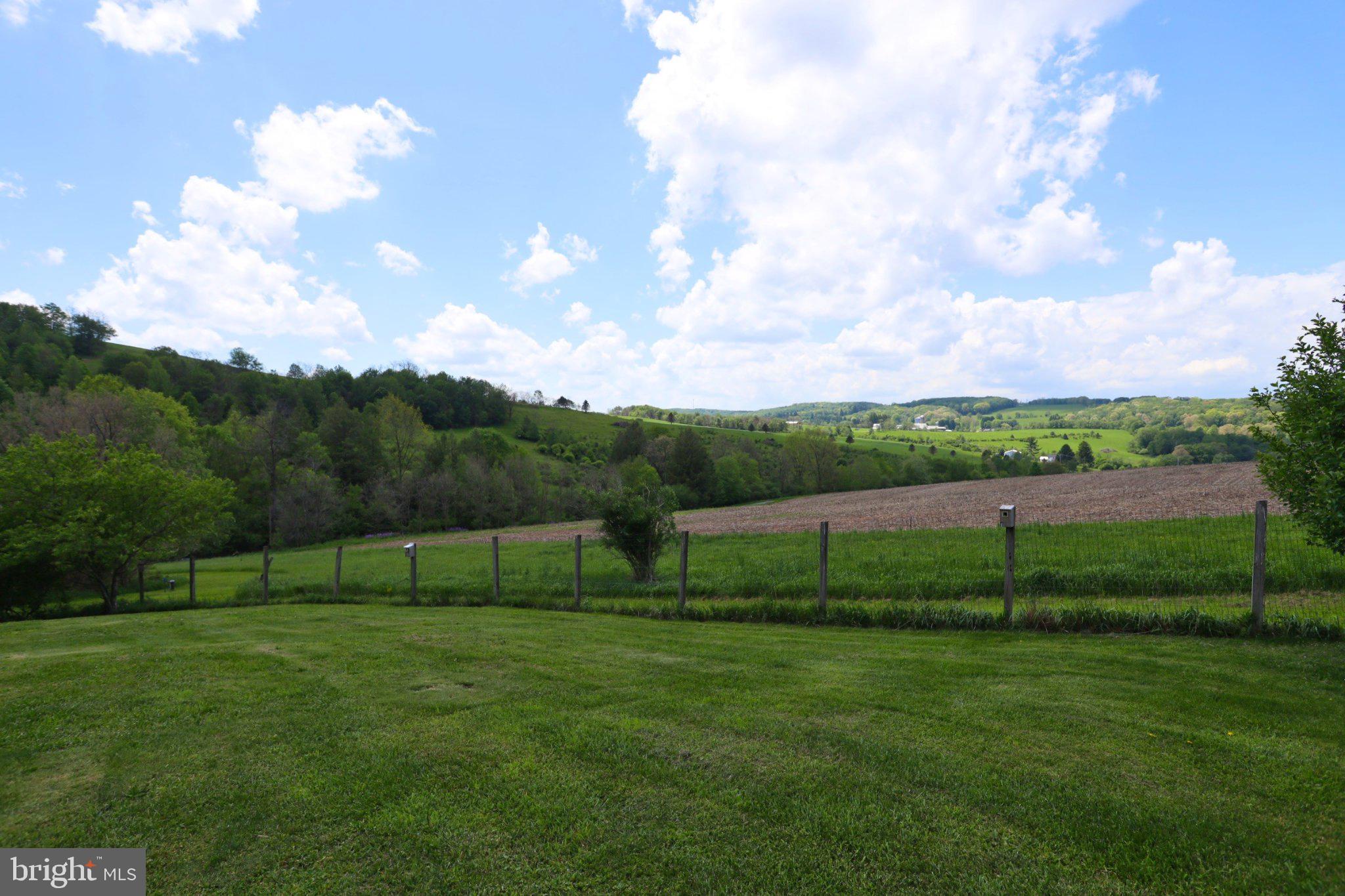 335 Charley Bowser Road Accident, MD 21520 - Photo 44 of 85 Serene countryside vista awaits you.