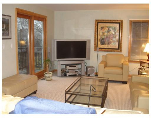 11770 Woodview Pinckney, MI 48169 - Photo 17 of 25 Photo 17