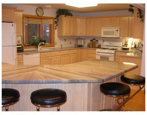 11770 Woodview Pinckney, MI 48169 - Photo 3 of 25 Photo 3