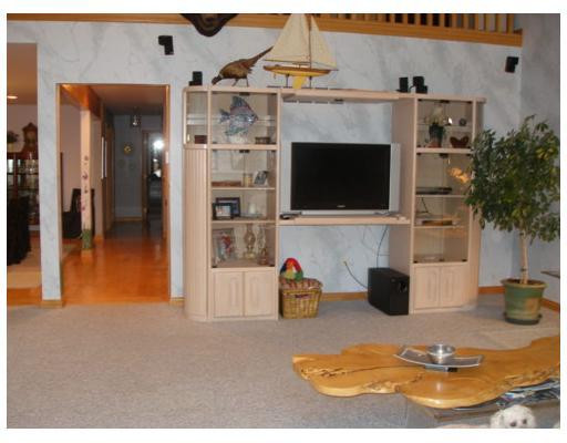 11770 Woodview Pinckney, MI 48169 - Photo 7 of 25 Photo 7