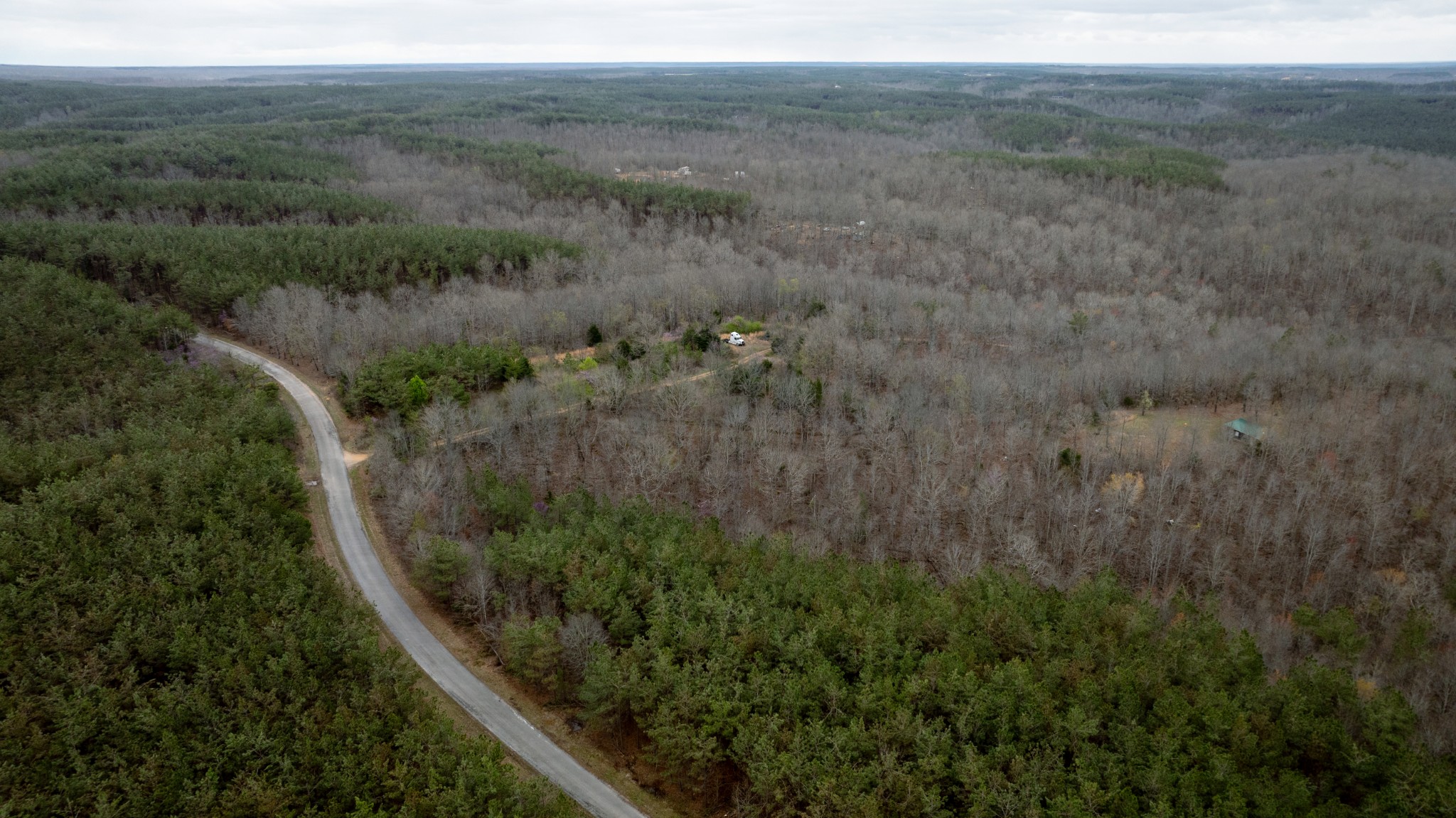 8072 Old Hohenwald Road Linden, TN 37096 - Photo 2 of 7 a view of a dry yard with green space