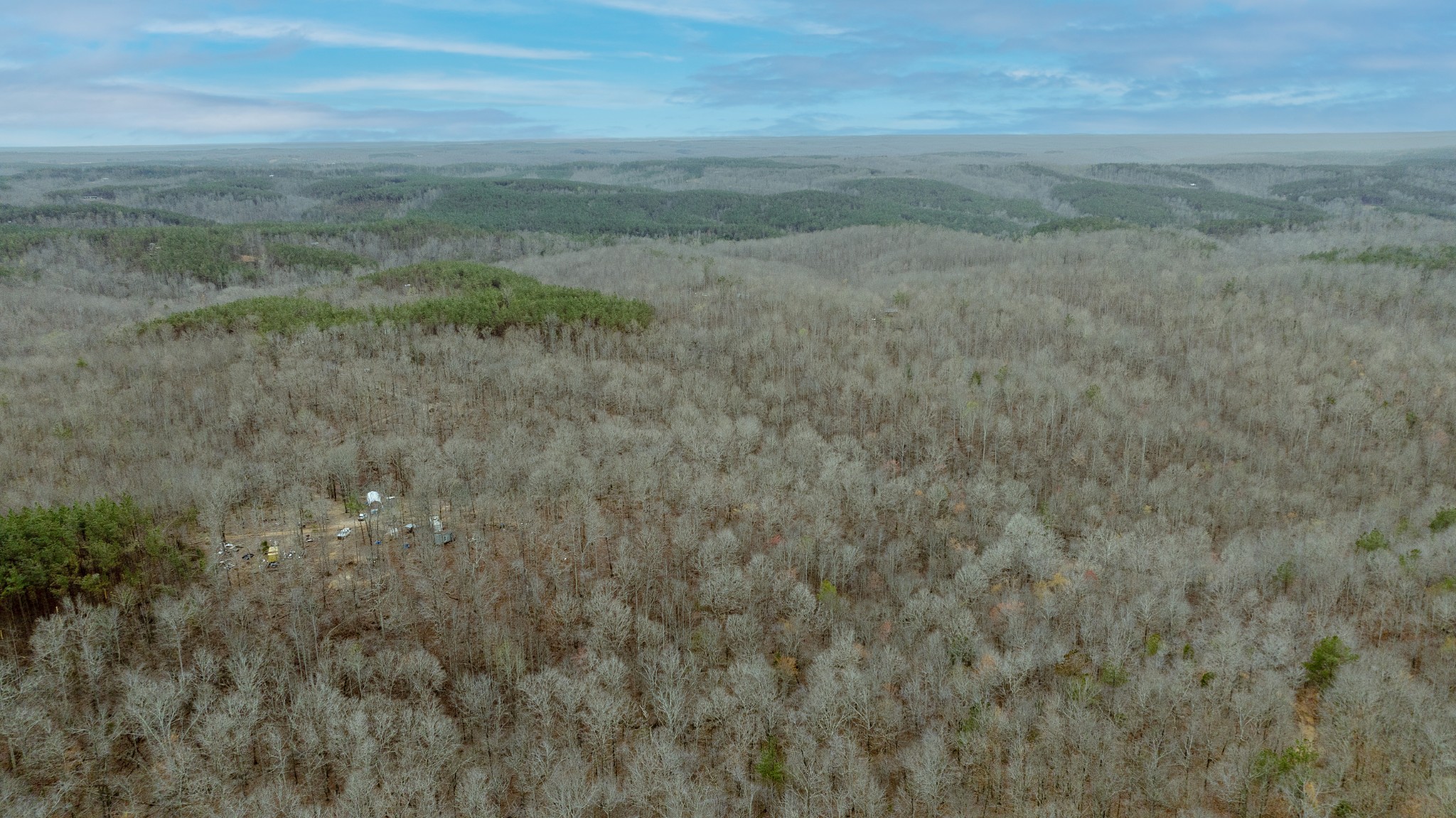8072 Old Hohenwald Road Linden, TN 37096 - Photo 3 of 7 a view of a dry yard