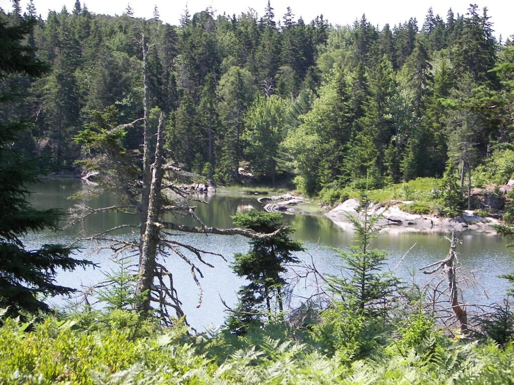 55 Calderwood Neck Road Vinalhaven, ME 04863 - Photo 6 of 18 PR-4E