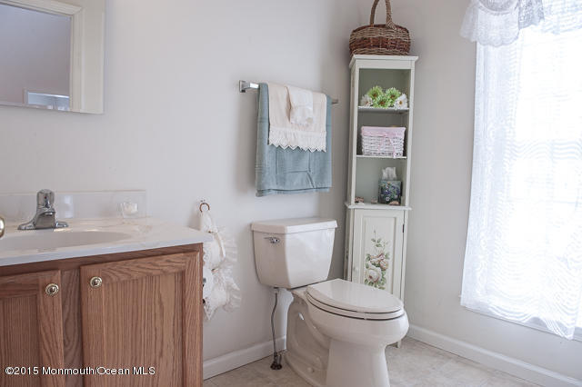 10 Cross Trees Road Brick, NJ 08723 - Photo 13 of 24 bath downstairs