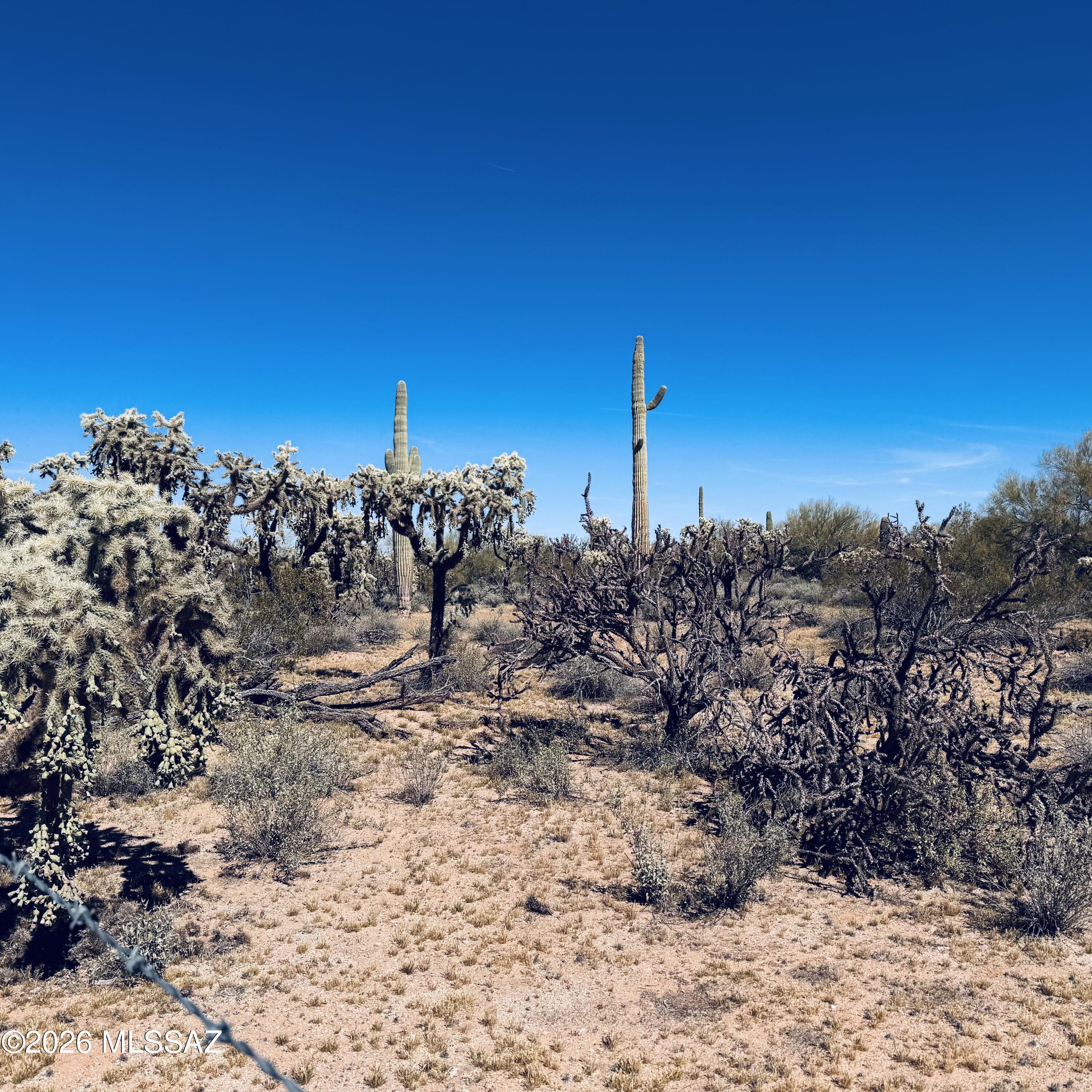 0 South Cattle Tank Road Marana, AZ 85658 - Photo 16 of 18 IMG_3134