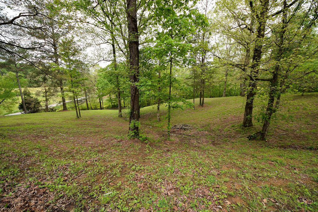500 Bigsby Creek Road Cleveland, TN 37312 - Photo 22 of 80 DSC_0977