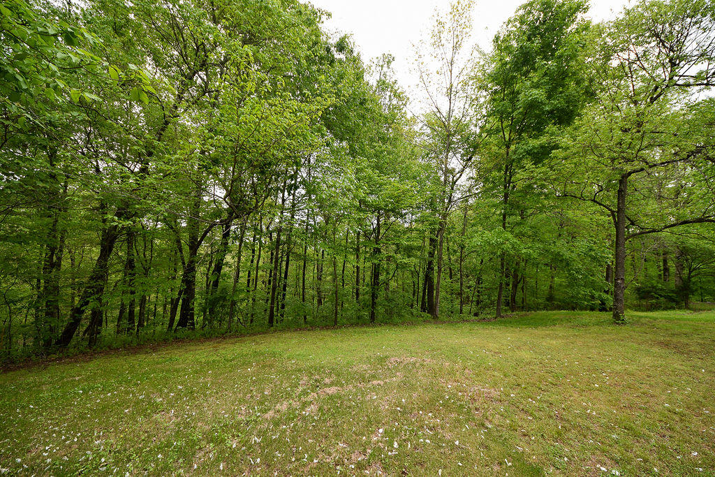 500 Bigsby Creek Road Cleveland, TN 37312 - Photo 42 of 80 DSC_0949