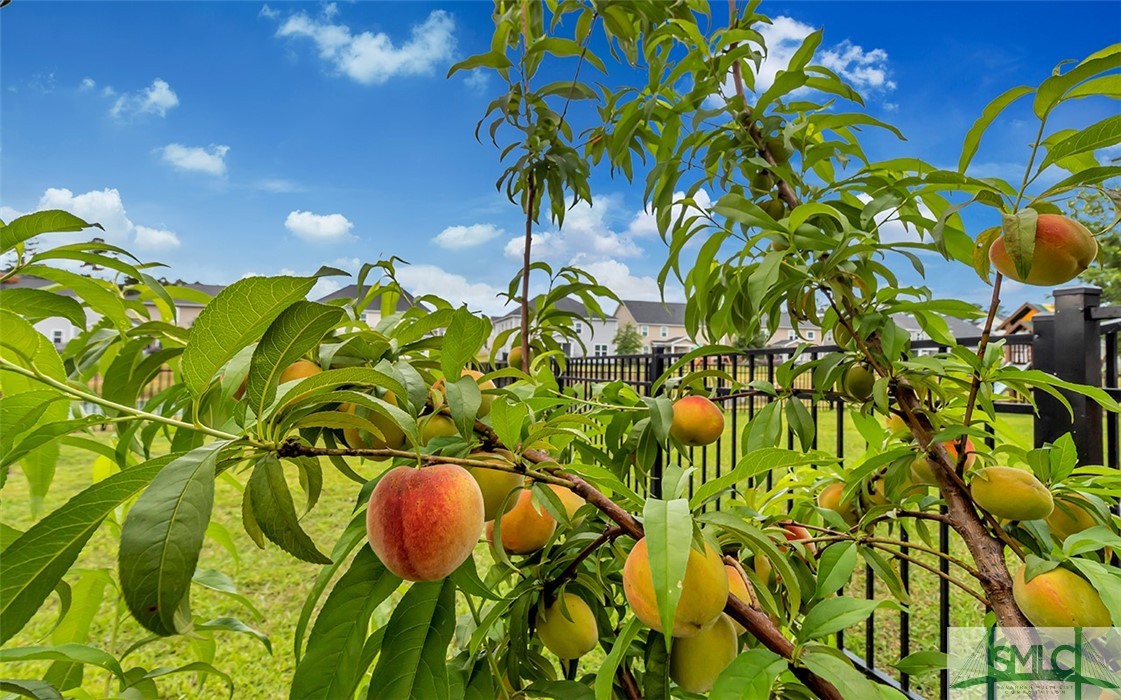 112 Winslow Circle Savannah, GA 31407 - Photo 35 of 43