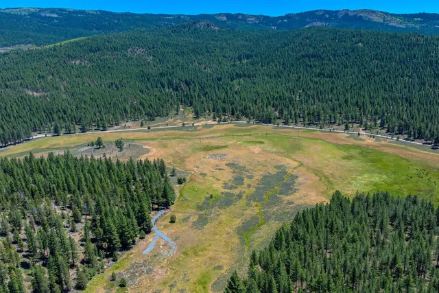 a view of a swimming pool with a yard