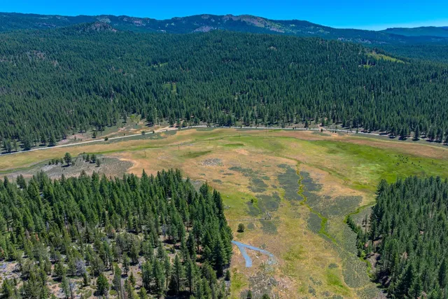 a view of swimming pool with a yard