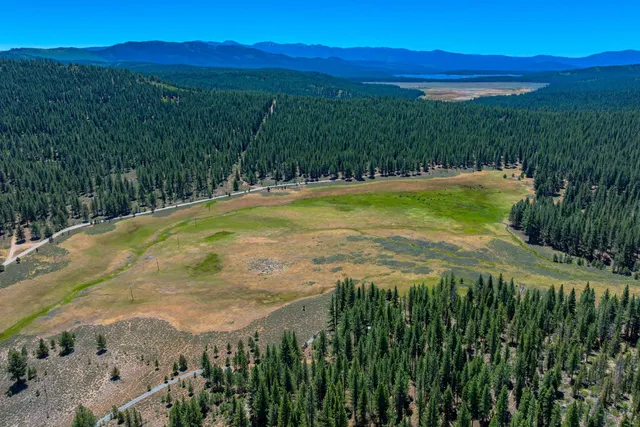 a view of an outdoor space and a yard