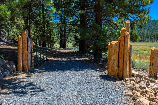 a view of a backyard with trees