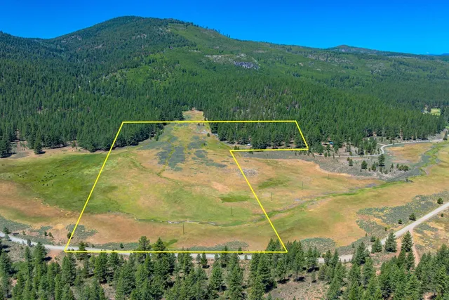 a view of a swimming pool with a yard