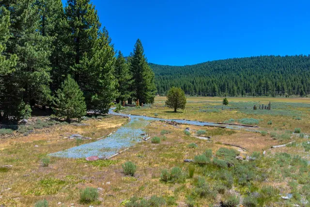 a view of outdoor space with trees all around