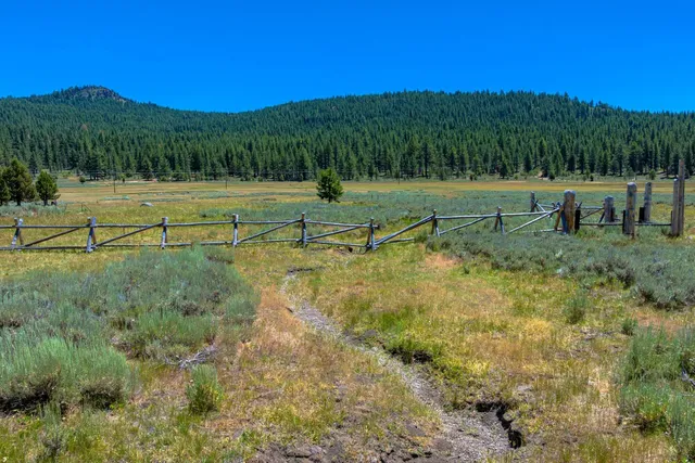 a view of a green field with trees in the background