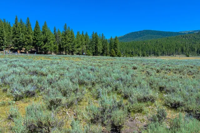 a view of outdoor space and city view