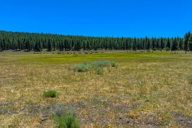 a view of a with backyard