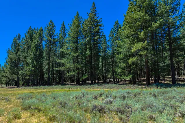 a view of outdoor space with deck and yard