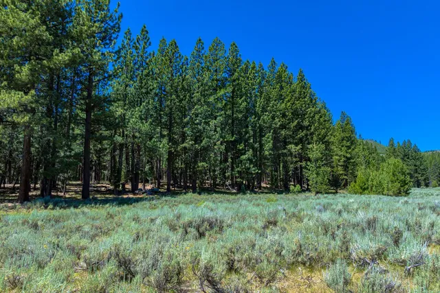 a view of outdoor space with deck and yard
