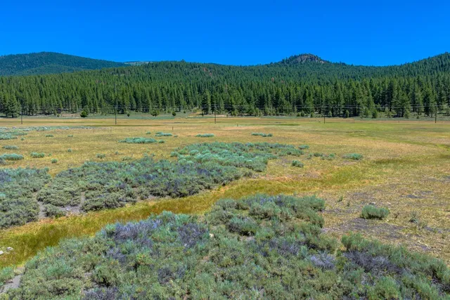 a view of grassy field with mountain