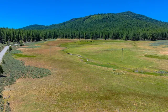 a view of a swimming pool with a yard