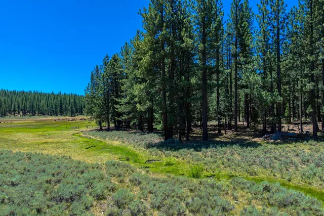 a view of backyard with green space