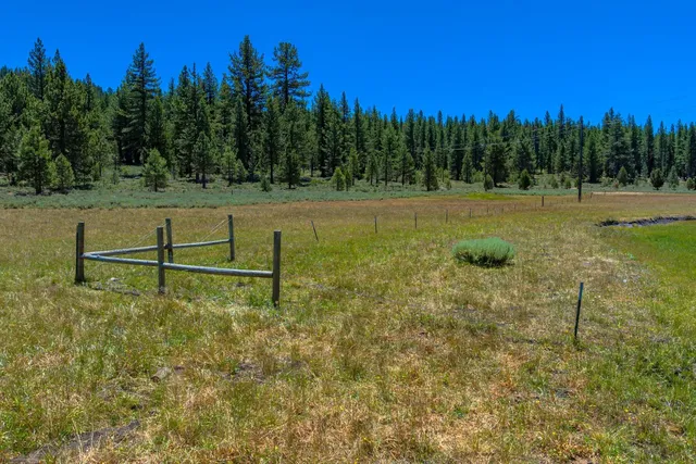 a view of a grassy field with trees in the background