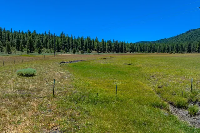 a view of a grassy area