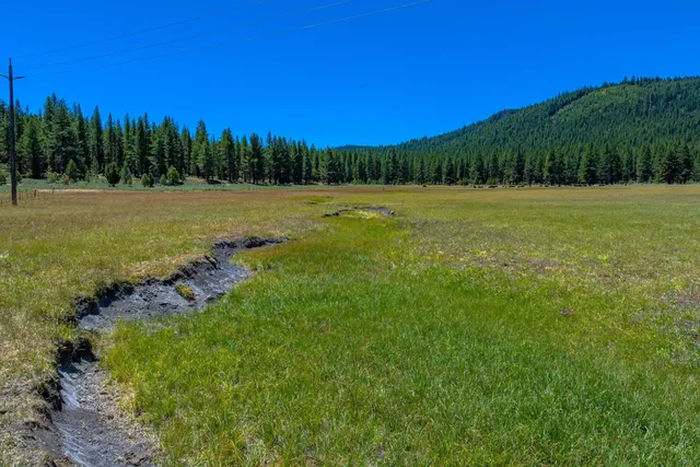 a view of a field with an trees
