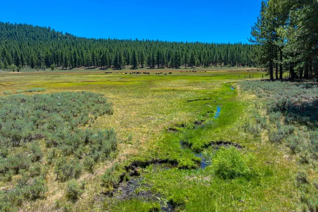 a view of a back yard