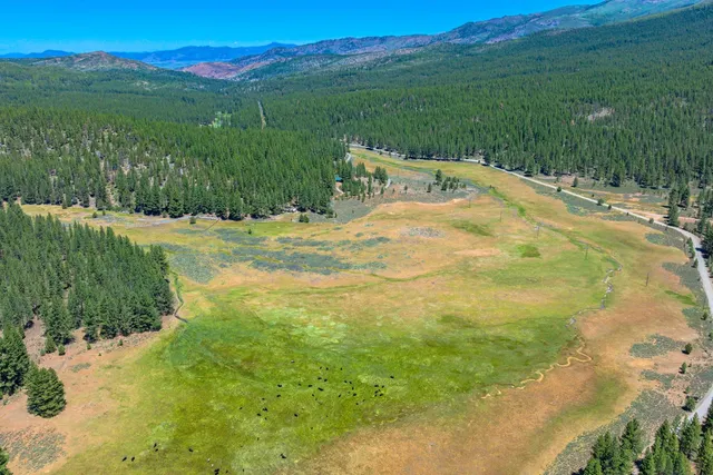 a view of a backyard of the house