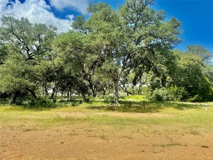 a view of a yard with a tree