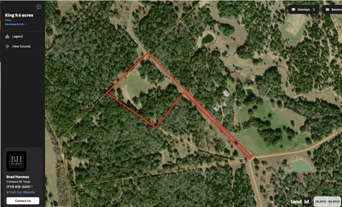 a picture of a tree in a garden