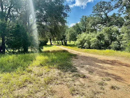 a view of a yard with a tree
