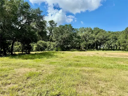 a view of outdoor space with garden and trees