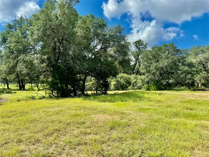 a view of a trees in a yard