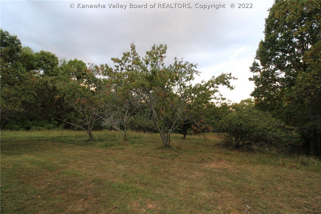 1242 Price Ridge Road Gandeeville, WV 25243 - Photo 15 of 17 Gallery Image 15