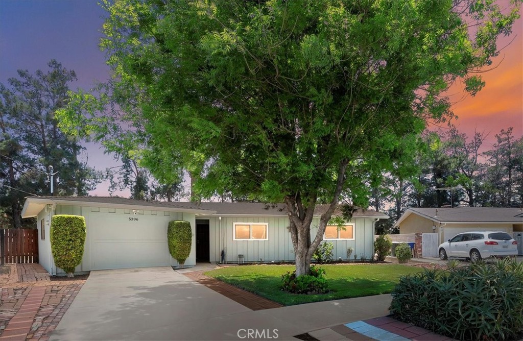 5396 Decamp Court Riverside, CA 92504 - Photo 1 of 1 front view of a house with a tree