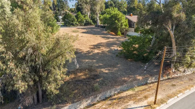a view of a yard with plants and trees
