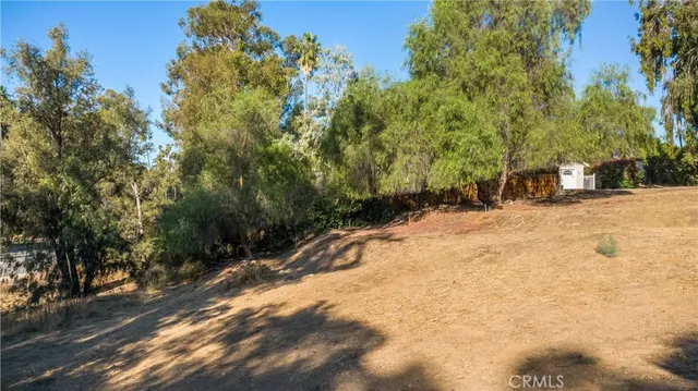 a view of a yard with a tree