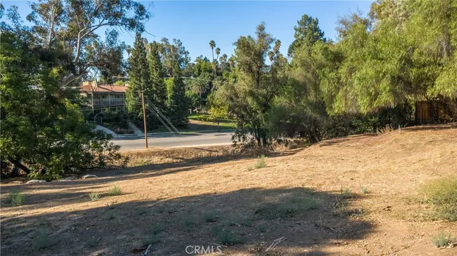 a view of a yard with large trees