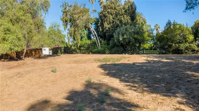 a view of empty field with trees in background