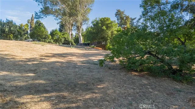 a view of road with large trees