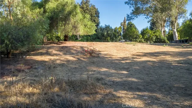a view of road with trees