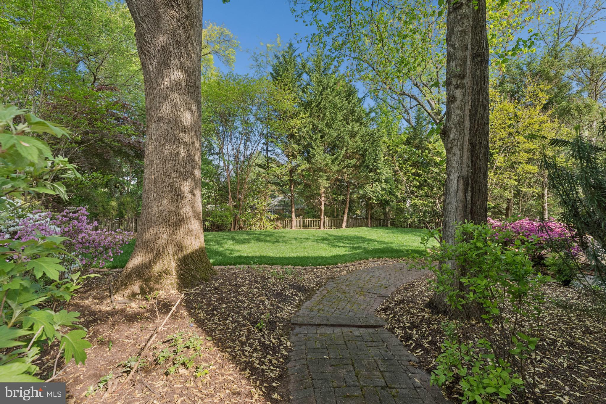 1806 Birch Road McLean, VA 22101 - Photo 60 of 61 Beautiful Landscaping and view